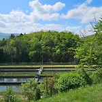 Dvor By The Krka River * Curnovec