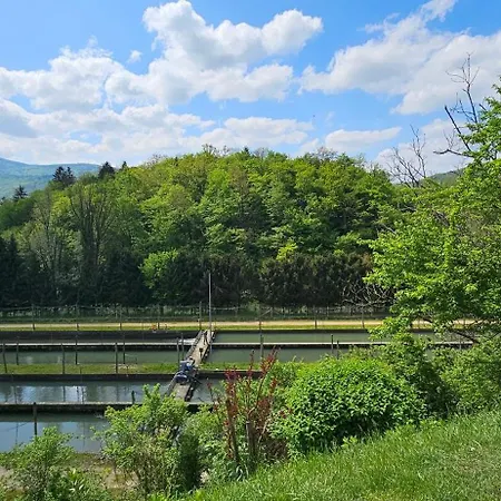 Dvor By The Krka River * Curnovec