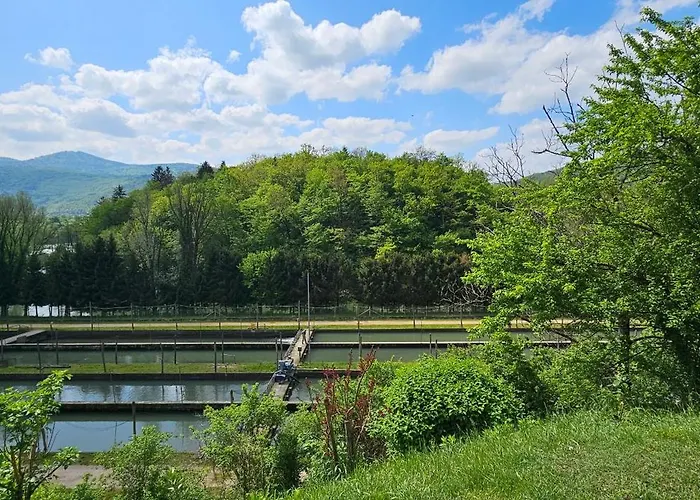 Dvor By The Krka River * Curnovec